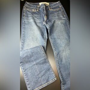 Ann Taylor LOFT Blue Original Boot Jeans Size 8 EUC